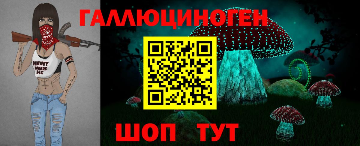 Лабинск  Галлюциногенные грибы Psilocybe  Вход с VPN  Псилоцибиновые грибы прущие грибы 